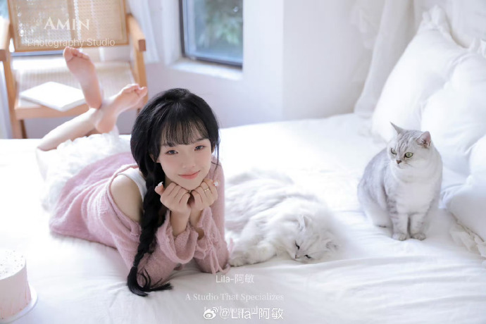 白莲花度假村 封面